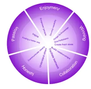A circle of competency framework used in competence assessment programme to evaluate skills and support professional development.