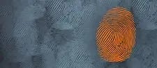 finger-prints_20v3_edited_edited